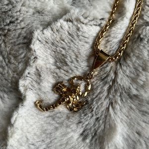Wyclef Scorpion Necklace // 24k gold overlay // Nee condition